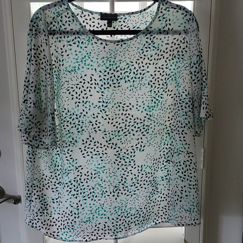 The Limited Blouse